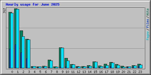Hourly usage for June 2025