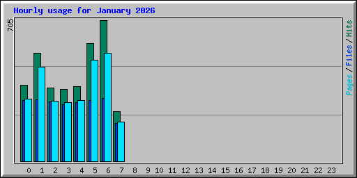 Hourly usage for January 2026